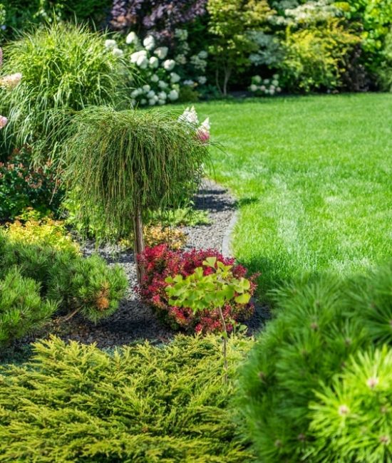 A,Beautifully,Designed,Garden,Features,A,Variety,Of,Flowering,Plants