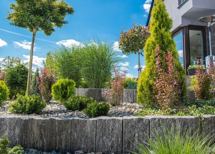 Colorful,Plants,And,Ornamental,Shrubs,Create,A,Lush,Garden,Landscape